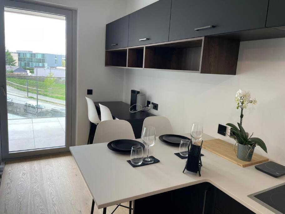 Apartment In Center With Terrace&parking-cd4 Luxemburg